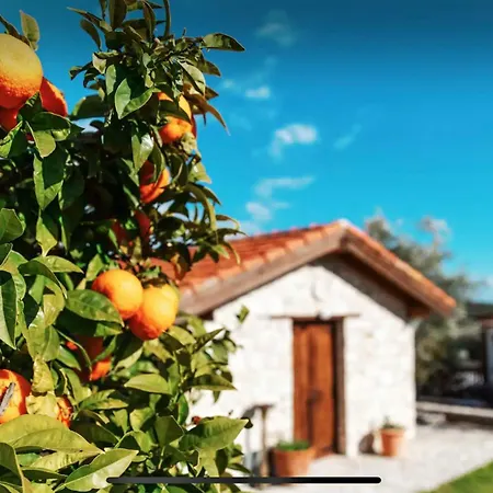 Cozy 2-bd Ap Near The Sea! Appartement *