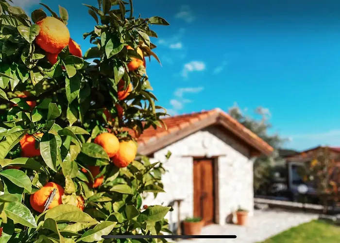 Cozy 2-bd Ap Near The Sea! Apartment *